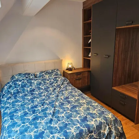 Apartment Havre De Paix De Klingenthal Boersch